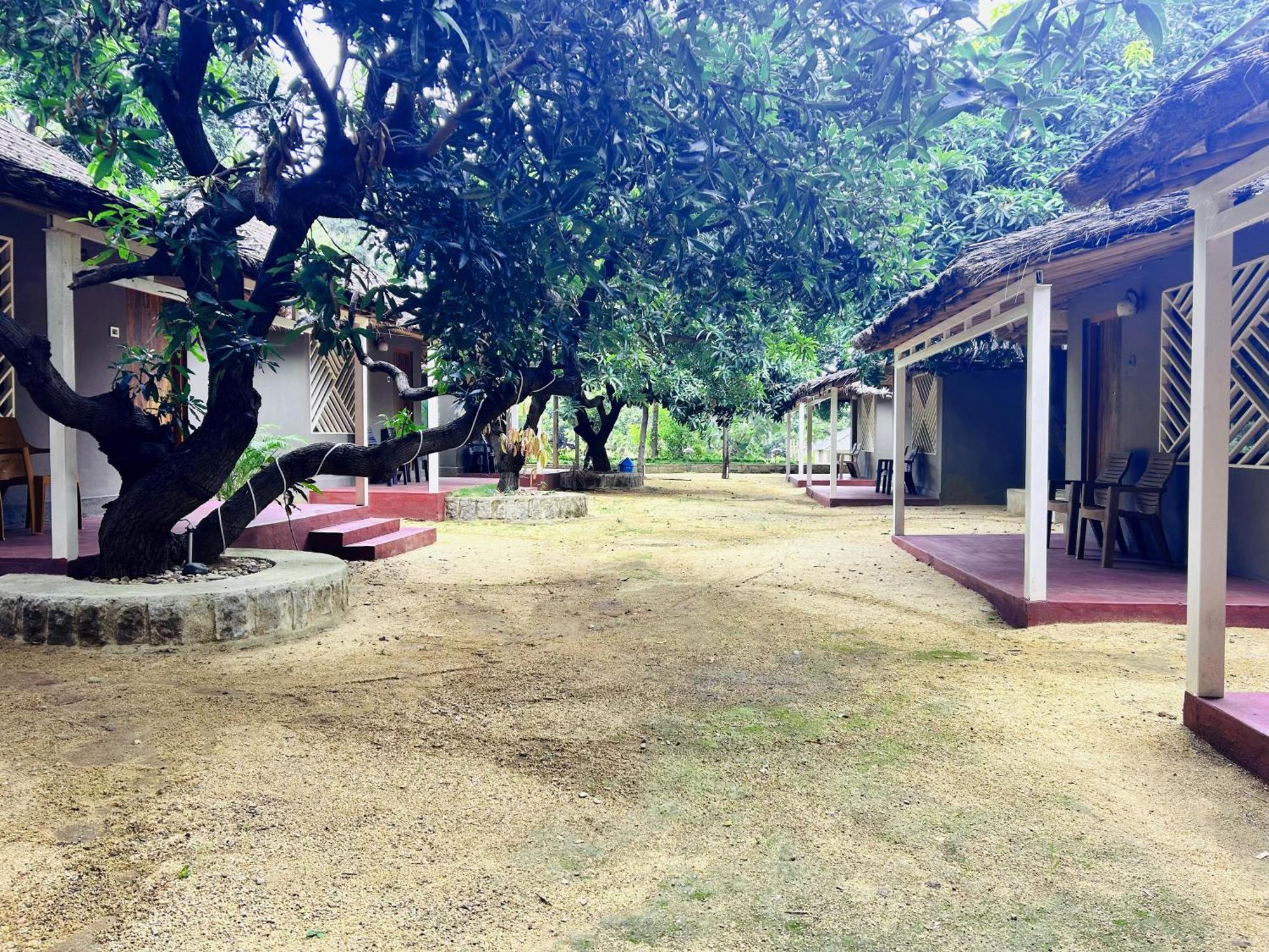 Hampi Village Resort & Tutti Cafe Extérieur photo